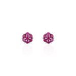 Ασημένια Σκουλαρίκια 925 "Ruby Stud Flowers Earrings"